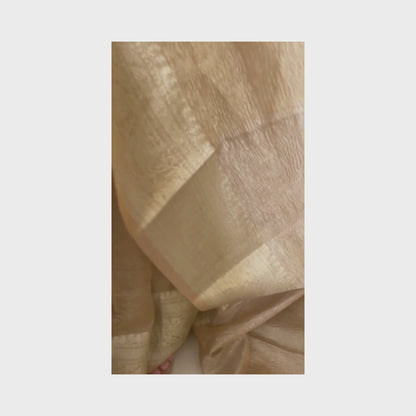 Gauri | Crush Tissue Saree